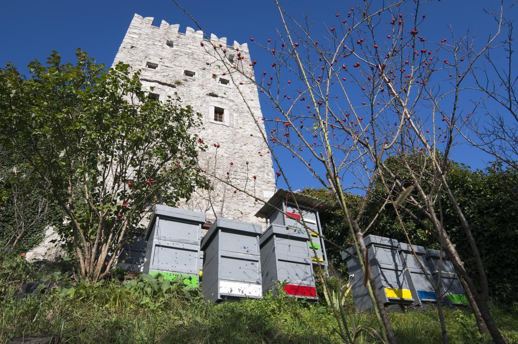 Apartmaji In Sobe Marija Jera Stanjel Štanjel Exterior foto